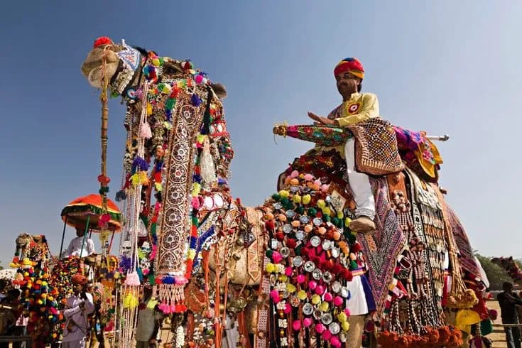 Festival Golden Triangle Tours image 3