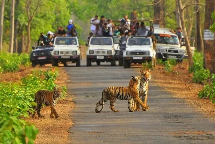 Photography Golden Triangle Tours | Experience My India image 1