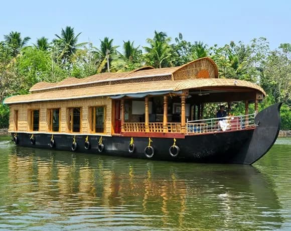 Golden Triangle with Kerala image 1