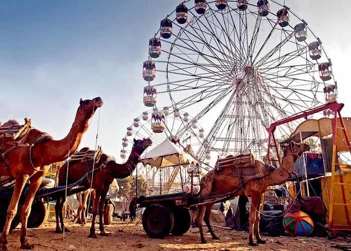Golden Triangle with Pushkar Camel Fair image 4