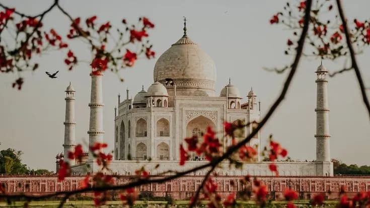 Golden Triangle Photo Tour | Experience My India image 3
