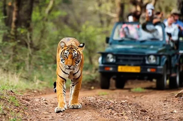 Golden Triangle with a Ranthambore Tiger Safari | Private 2