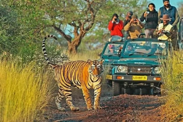Golden Triangle with a Ranthambore Tiger Safari | Private 3
