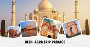 Delhi and Agra Trip