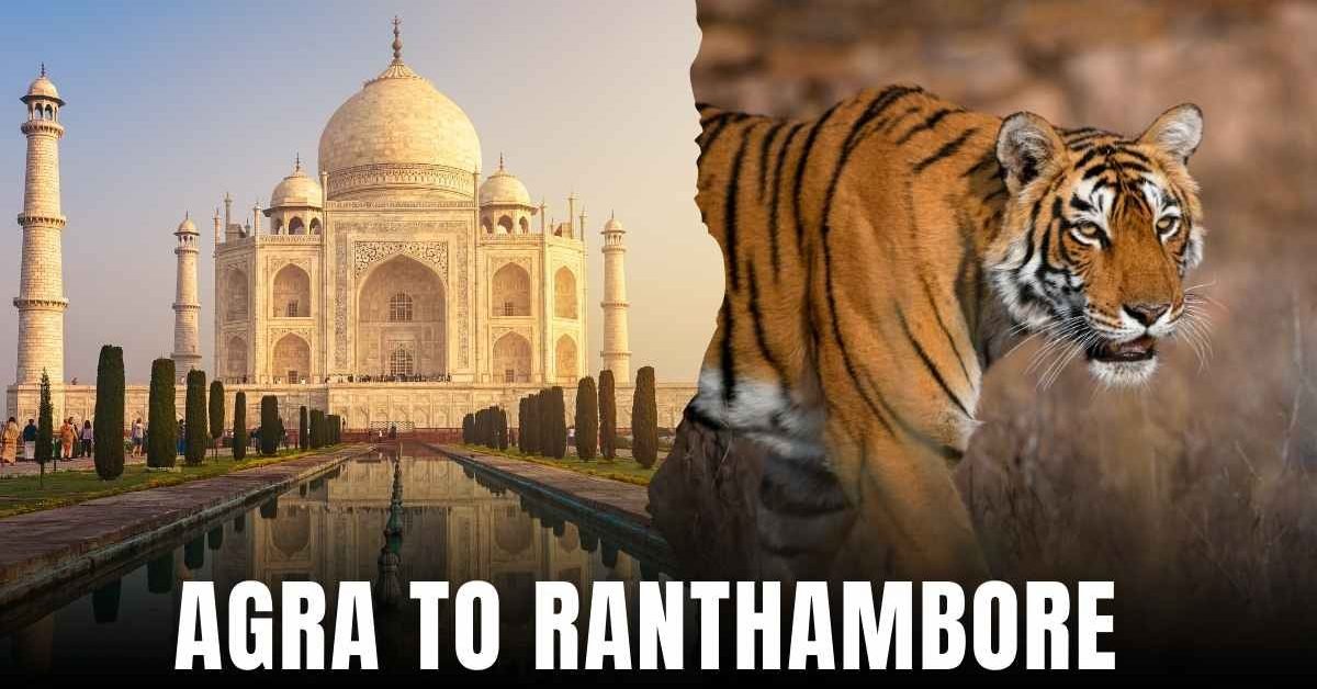 Agra to Ranthambore distance